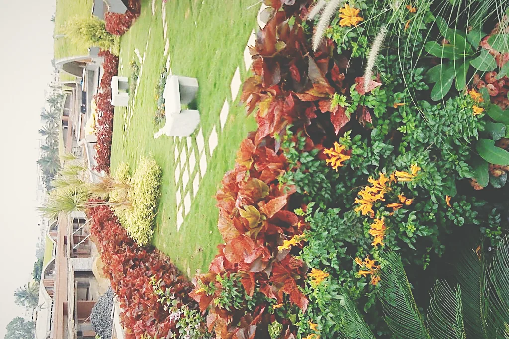 Vertical and terrace planting on a residential structure